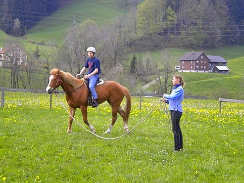 Learning the ropes of Natural Horsemanship